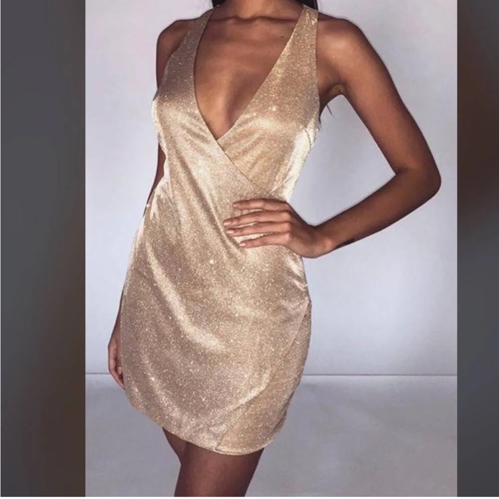 Mishkin two tone gold shimmer dress